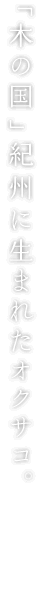 紀州に生まれたオクサコ